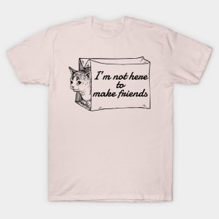 Not Here to Make Friends T-Shirt